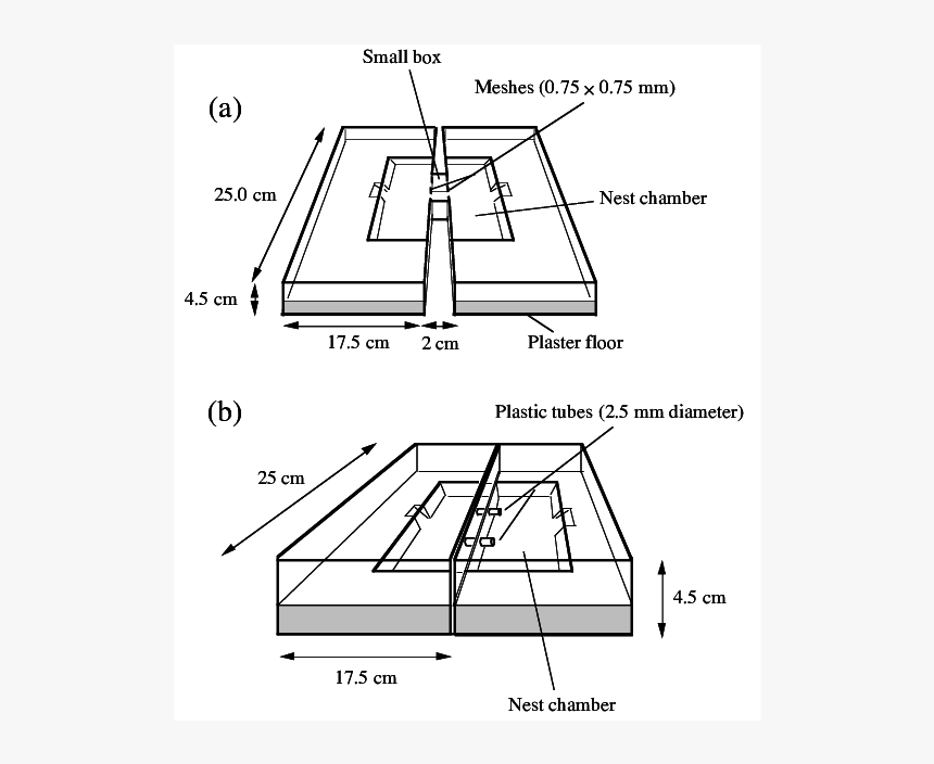 Technical Drawing, HD Png Download, Free Download