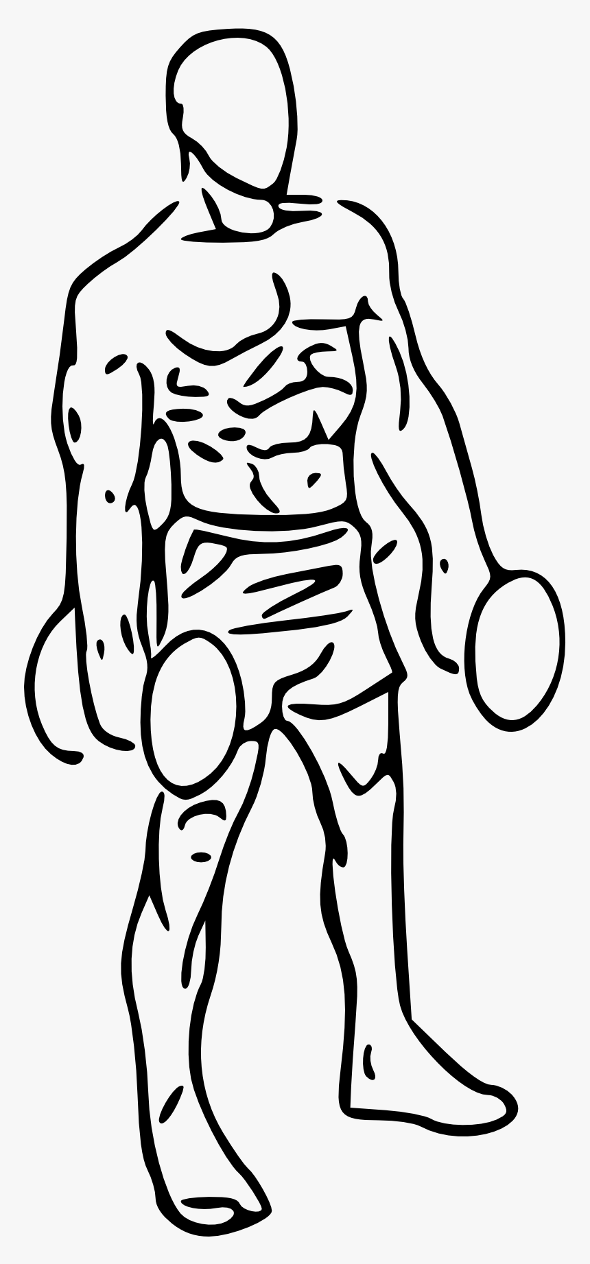 Image Transparent Stock Bicep Drawing Male - Bicep Curl Clipart, HD Png Download, Free Download