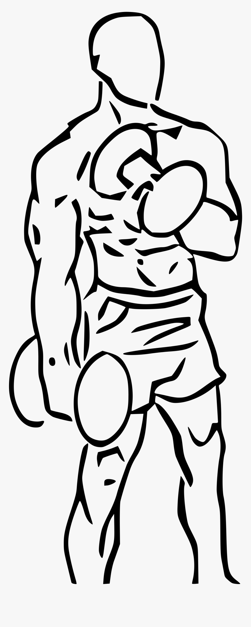 Bicep Curl Png , Png Download - Dumbbell Curl Png, Transparent Png, Free Download