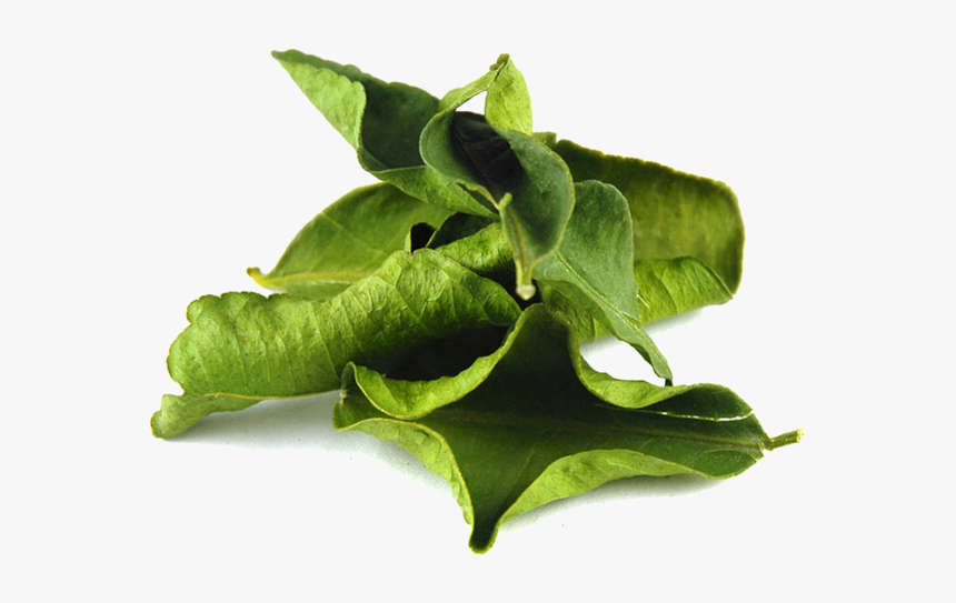 Kaffir Lime Leaves Transparent Image - Dried Lime Leaves, HD Png Download, Free Download