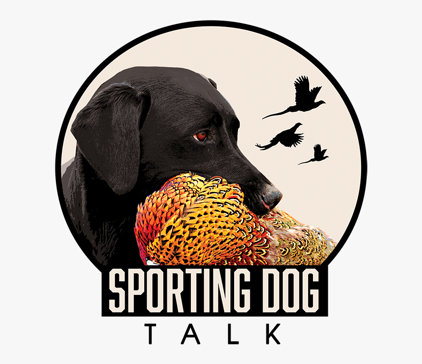 Sportingdogtalk Logo Rgb Small - Sporting Dog Talk, HD Png Download, Free Download