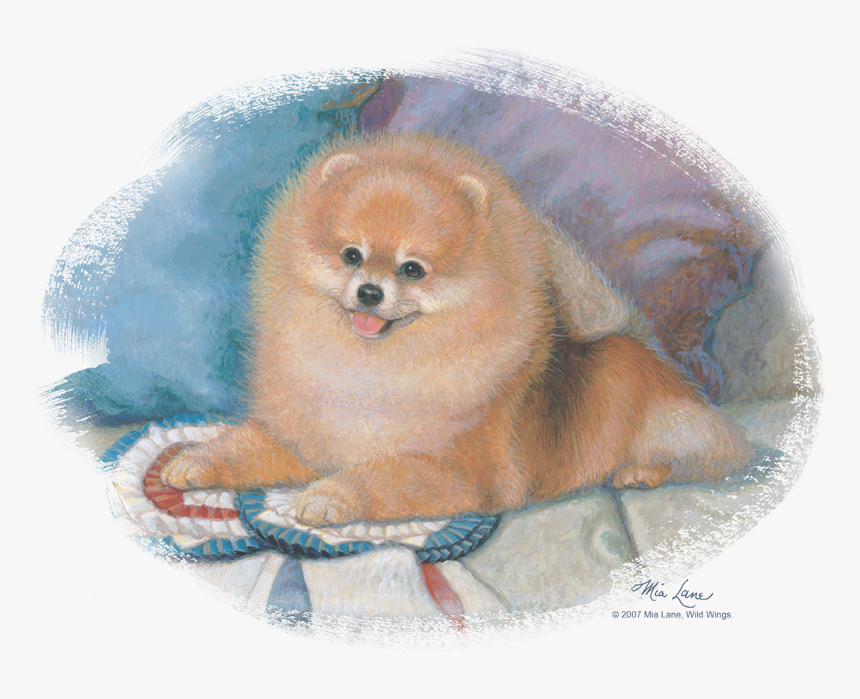 Wildlife Pomeranian Portrait Youth T Shirt - Pomeranian, HD Png Download, Free Download