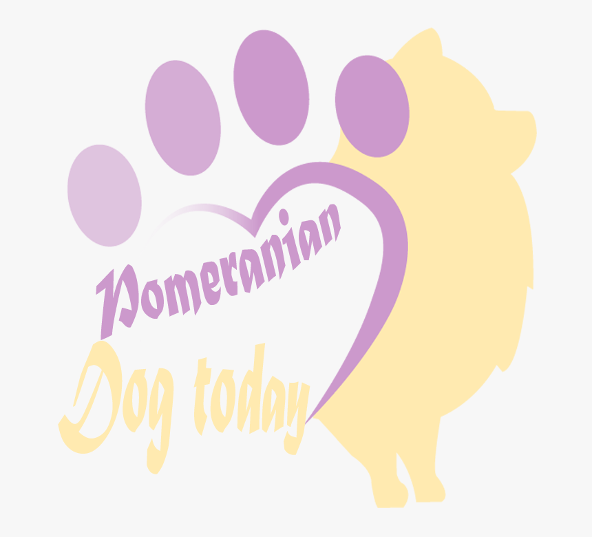 Creative Pomeranian - Illustration, HD Png Download, Free Download