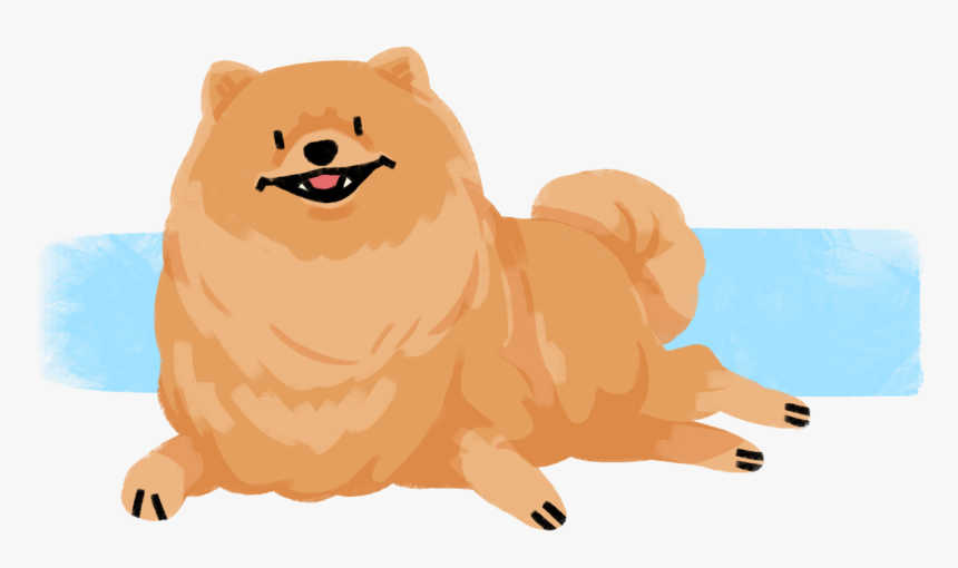 A Pomeranian For Doggust Day 27 - Dog Yawns, HD Png Download, Free Download