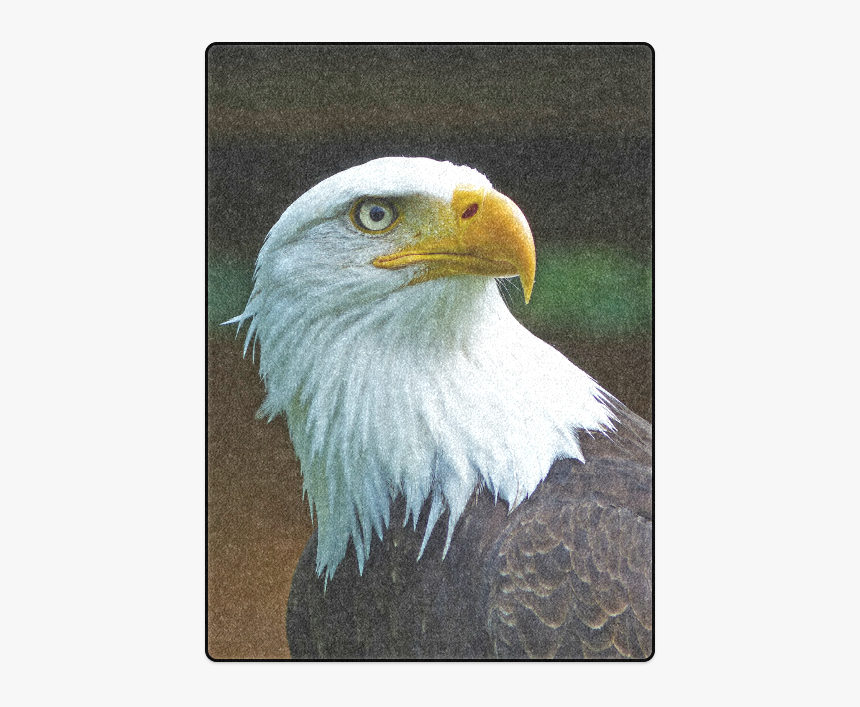 Bald Eagle Head 001 01 Blanket 58"x80" - Eagle Head, HD Png Download, Free Download