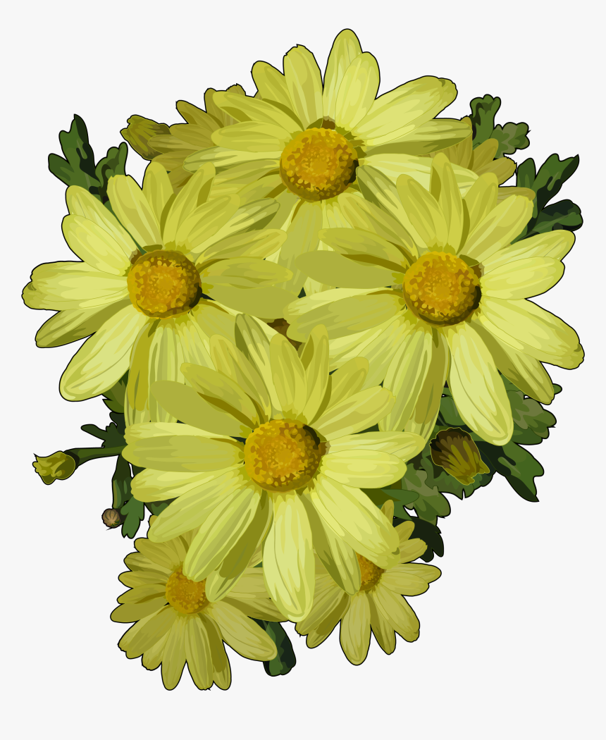 Margaritas De Flores Png , Png Download - Margarita De Famara, Transparent Png, Free Download