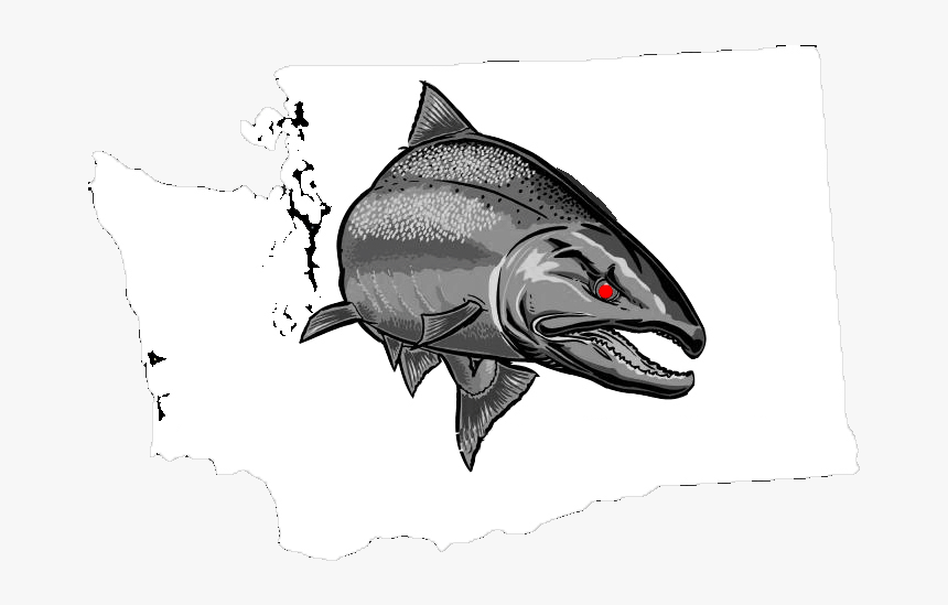 Washington State Png, Transparent Png, Free Download