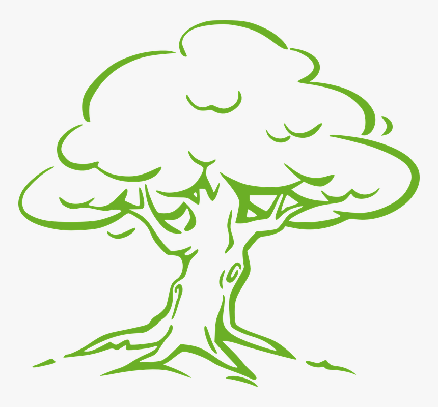 Oak Tree Simple Drawing, HD Png Download - kindpng