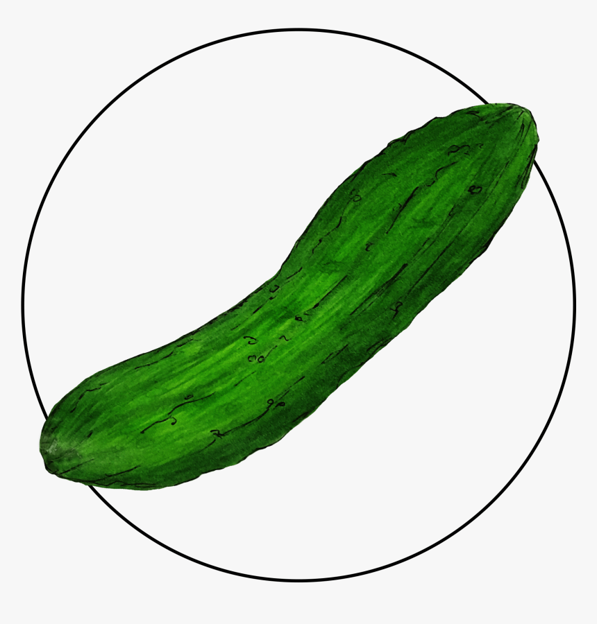 Attribute Motif Cucumber - Cucumber, HD Png Download, Free Download