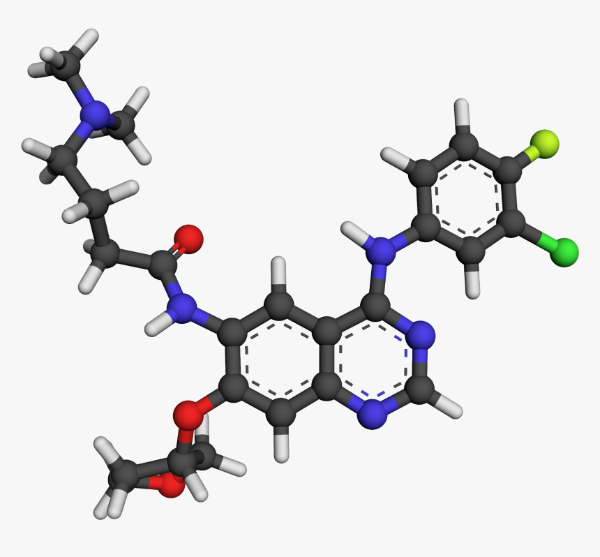 Afatinib 3d Ball And Stick 4g5p - 3d Structure Of Papaverine, HD Png Download, Free Download