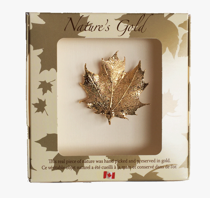 Gold Maple Leaf Pendant, HD Png Download, Free Download