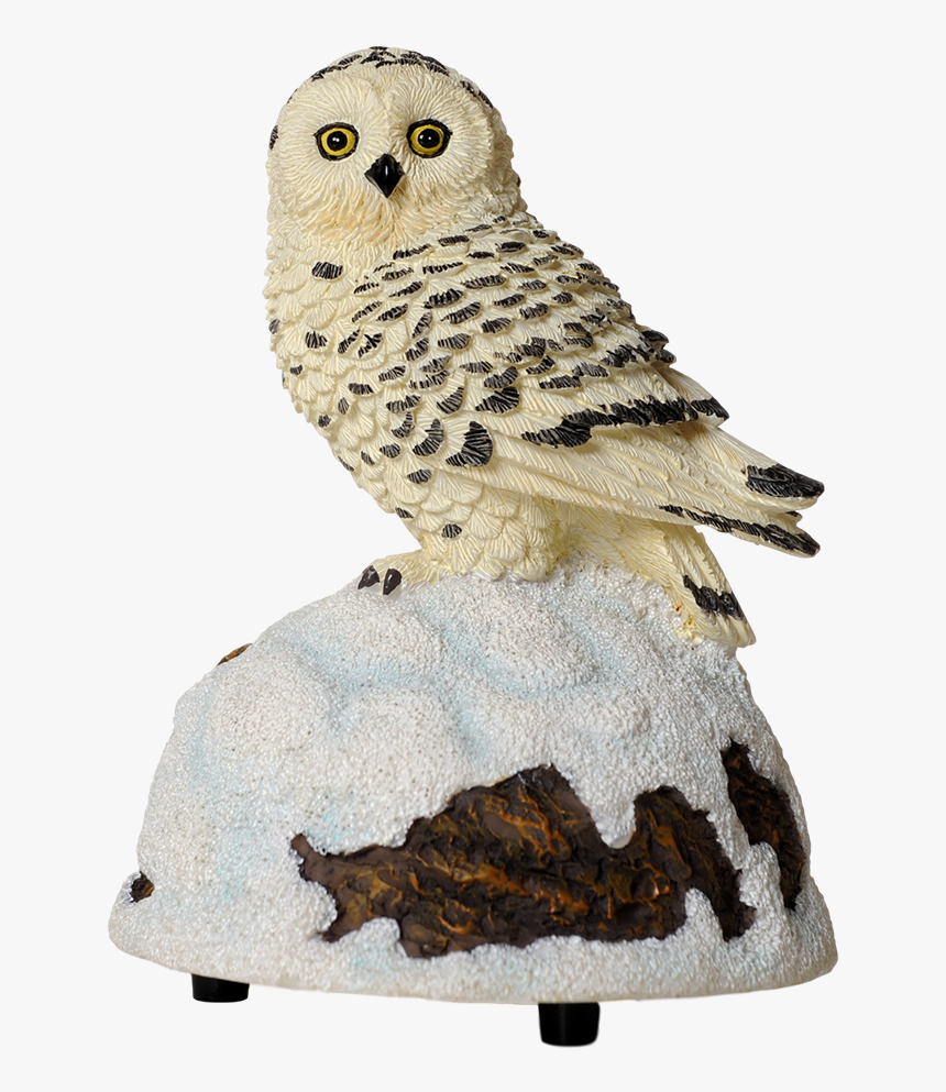 Transparent Snow Owl Png, Png Download, Free Download