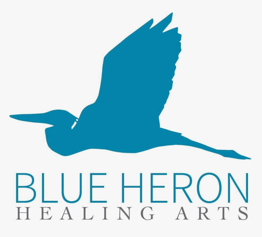 Blue Heron Healing Arts - Seabird, HD Png Download, Free Download