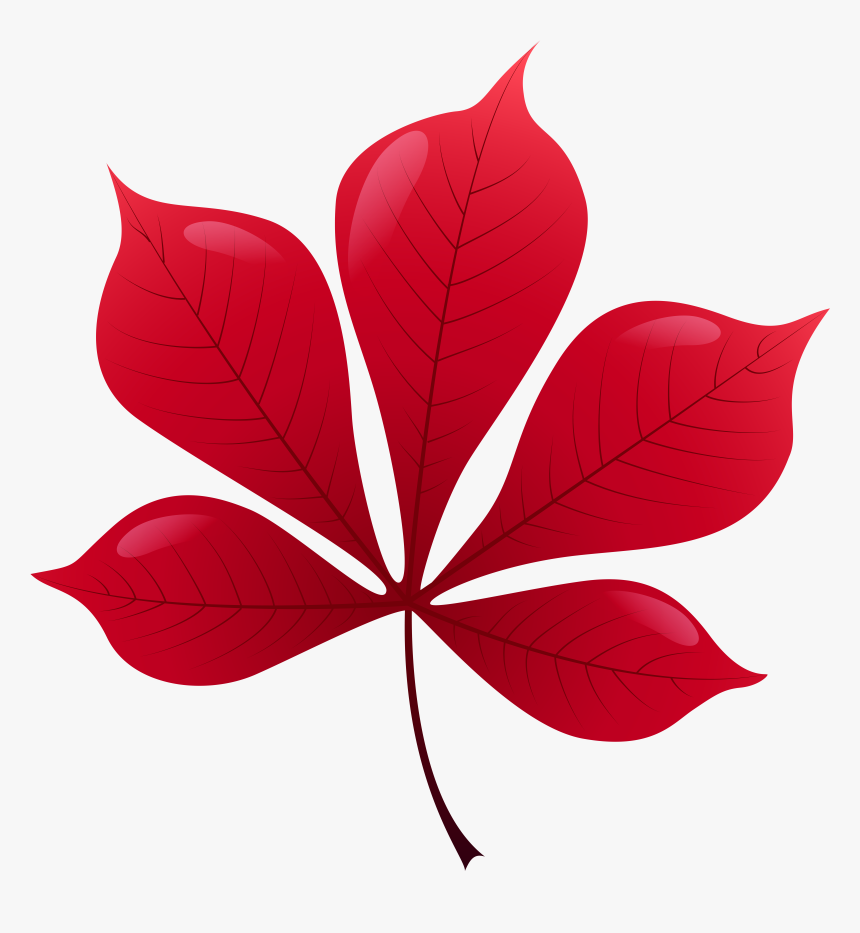 Clipart Leaf Petal, HD Png Download, Free Download