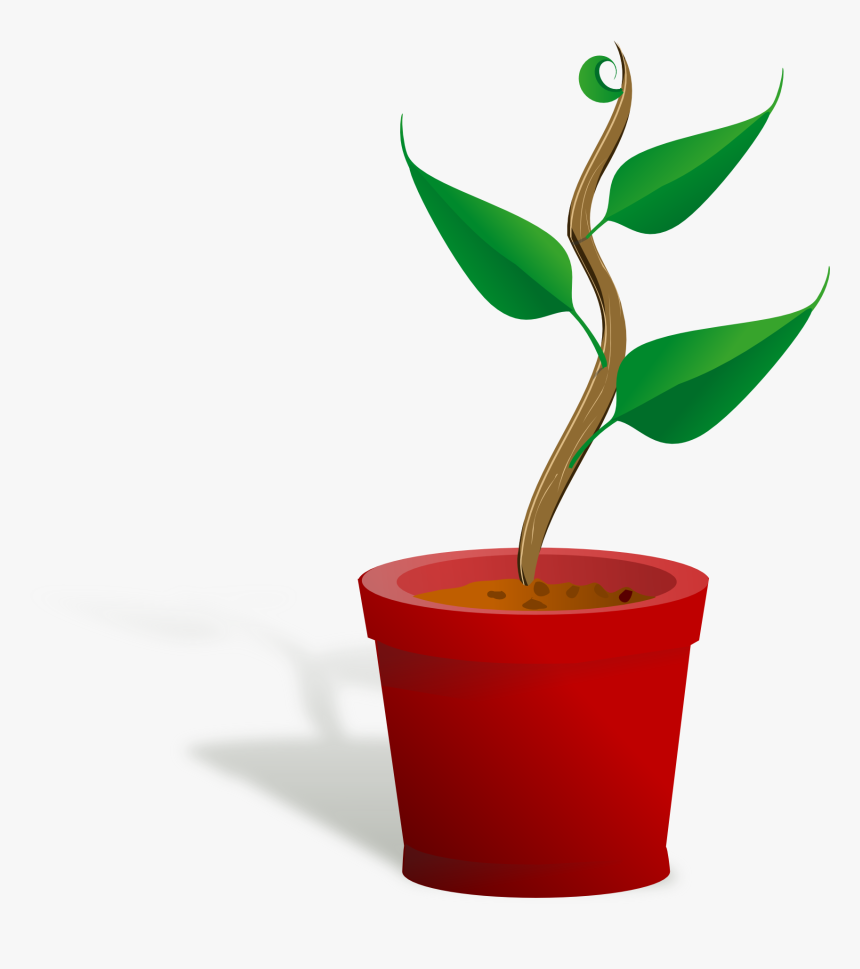 Getting To Know Plants, HD Png Download, Free Download