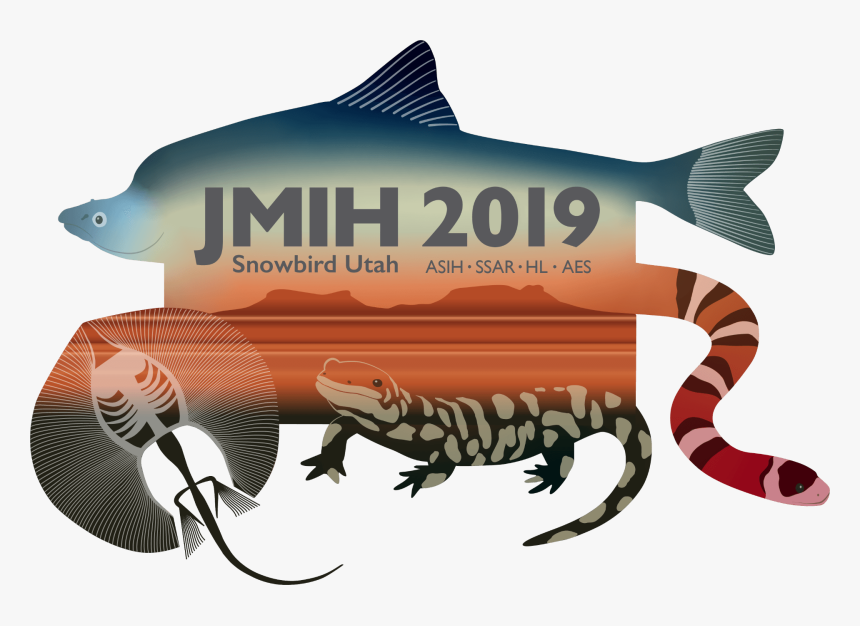 Jmih 2019, HD Png Download, Free Download