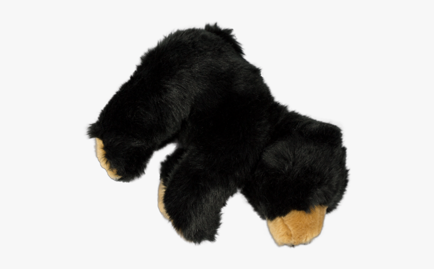 Teddy Bear, HD Png Download, Free Download