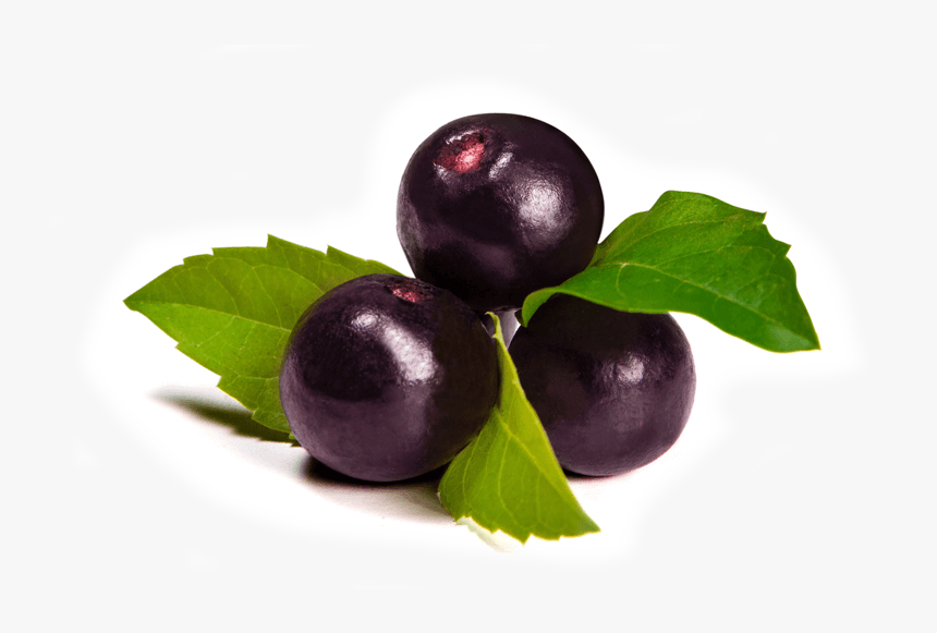 Acai-berry - Acaí Berry, HD Png Download, Free Download