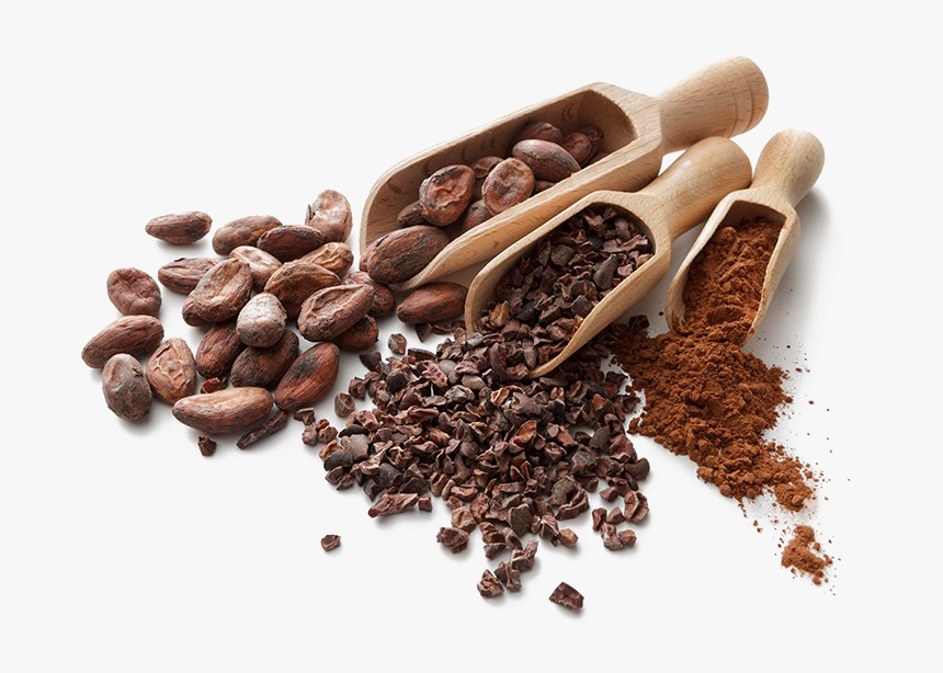 Cocoa Beans Png Hd - Cocoa Beans Png, Transparent Png, Free Download