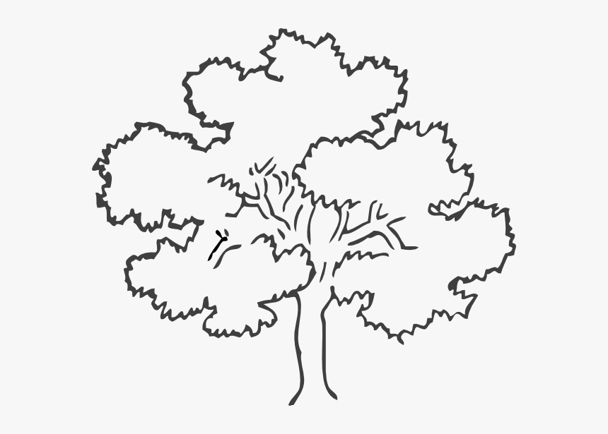 Tree Black And White, HD Png Download, Free Download