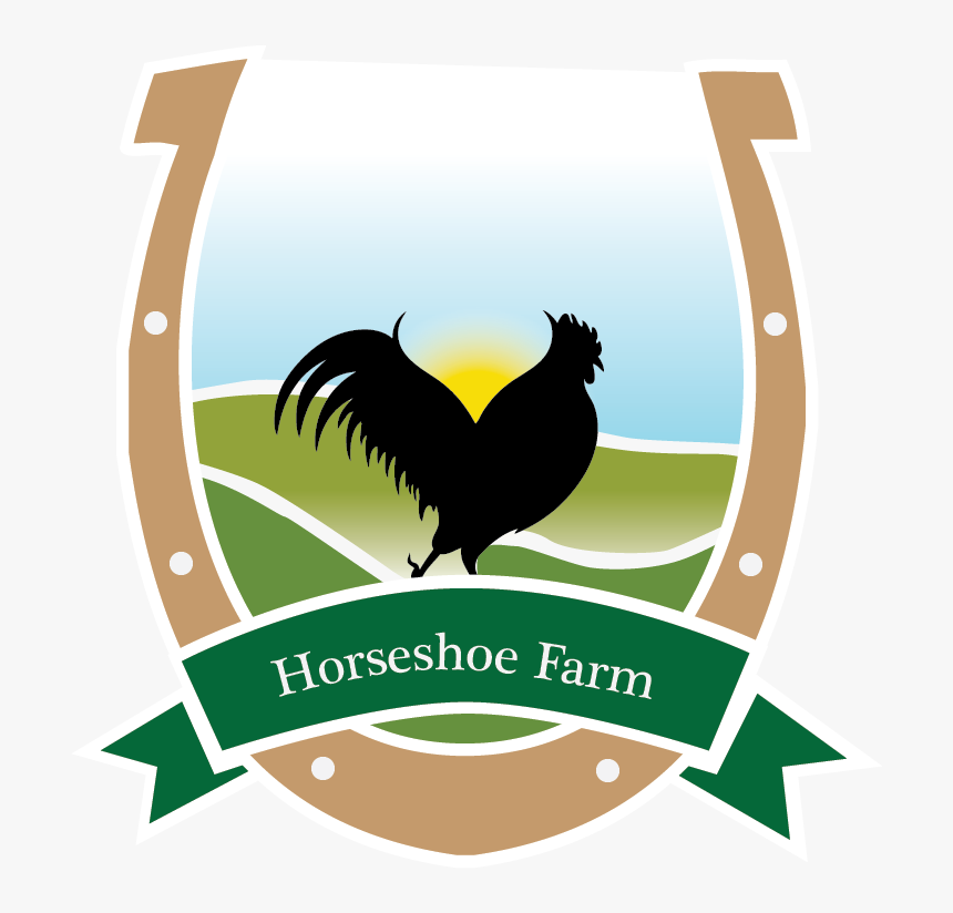 Premium Vector | Chicken logo rooster and hen logo for poultry farming  animal logo vector illustration design