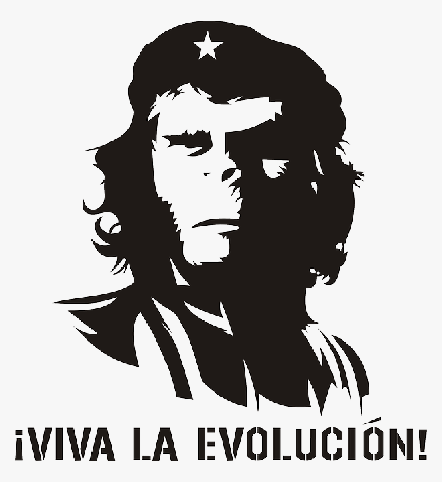 Monkey Evolution Che Guevara Humor Revolution Domain - Che Guevara Planet Of The Apes, HD Png Download, Free Download