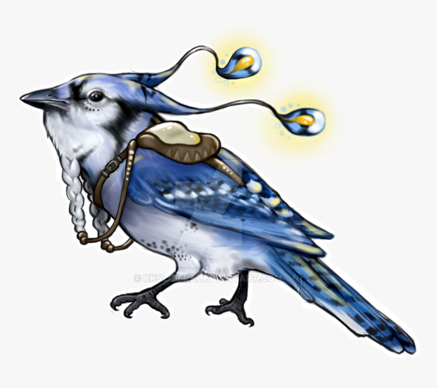 Transparent Blue Jay Clipart Drawing Hd Png Download Kindpng