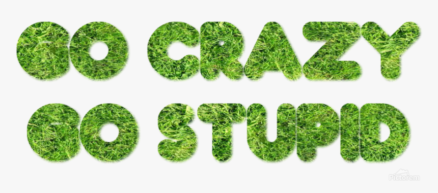 Grass, HD Png Download, Free Download