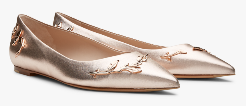 Ballet Flat, HD Png Download, Free Download