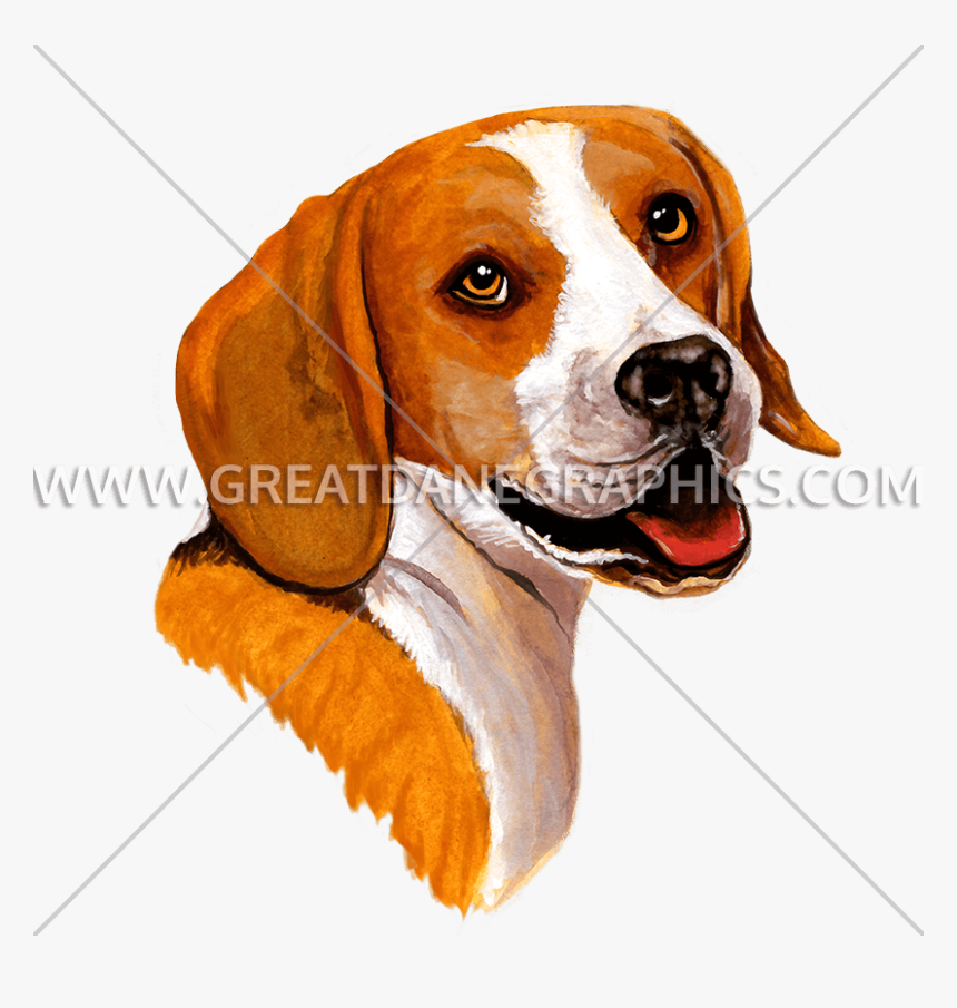 Beagle Vector Illustrator - Beagle, HD Png Download, Free Download