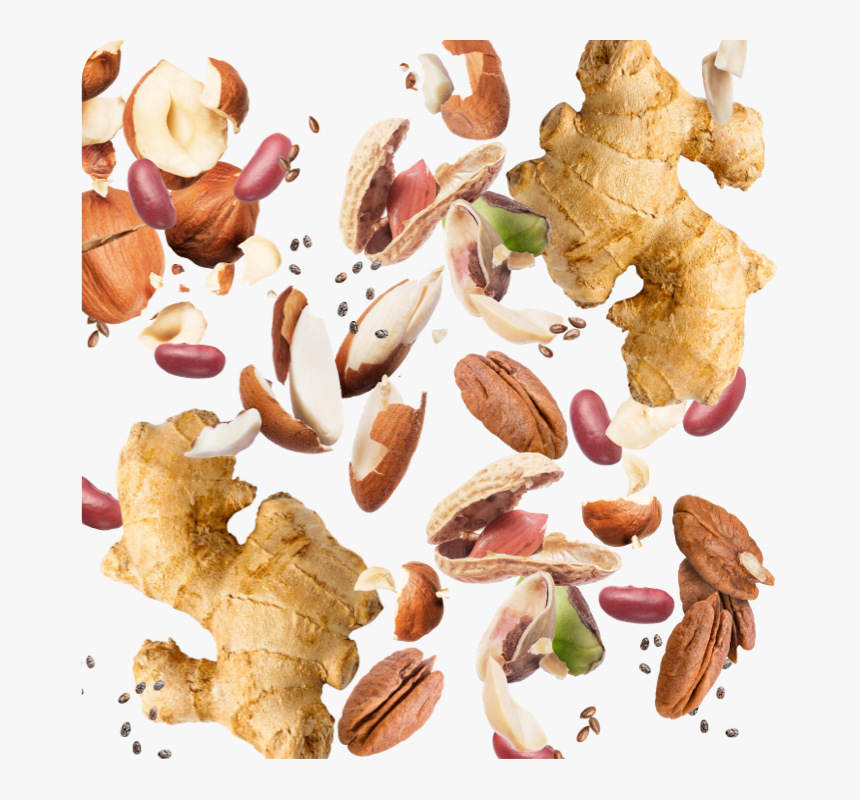 Nut, HD Png Download, Free Download