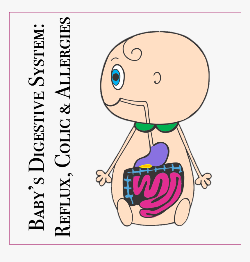 Baby"s Digestive System & Reflux - Cartoon Digestive System Word, HD Png Download, Free Download