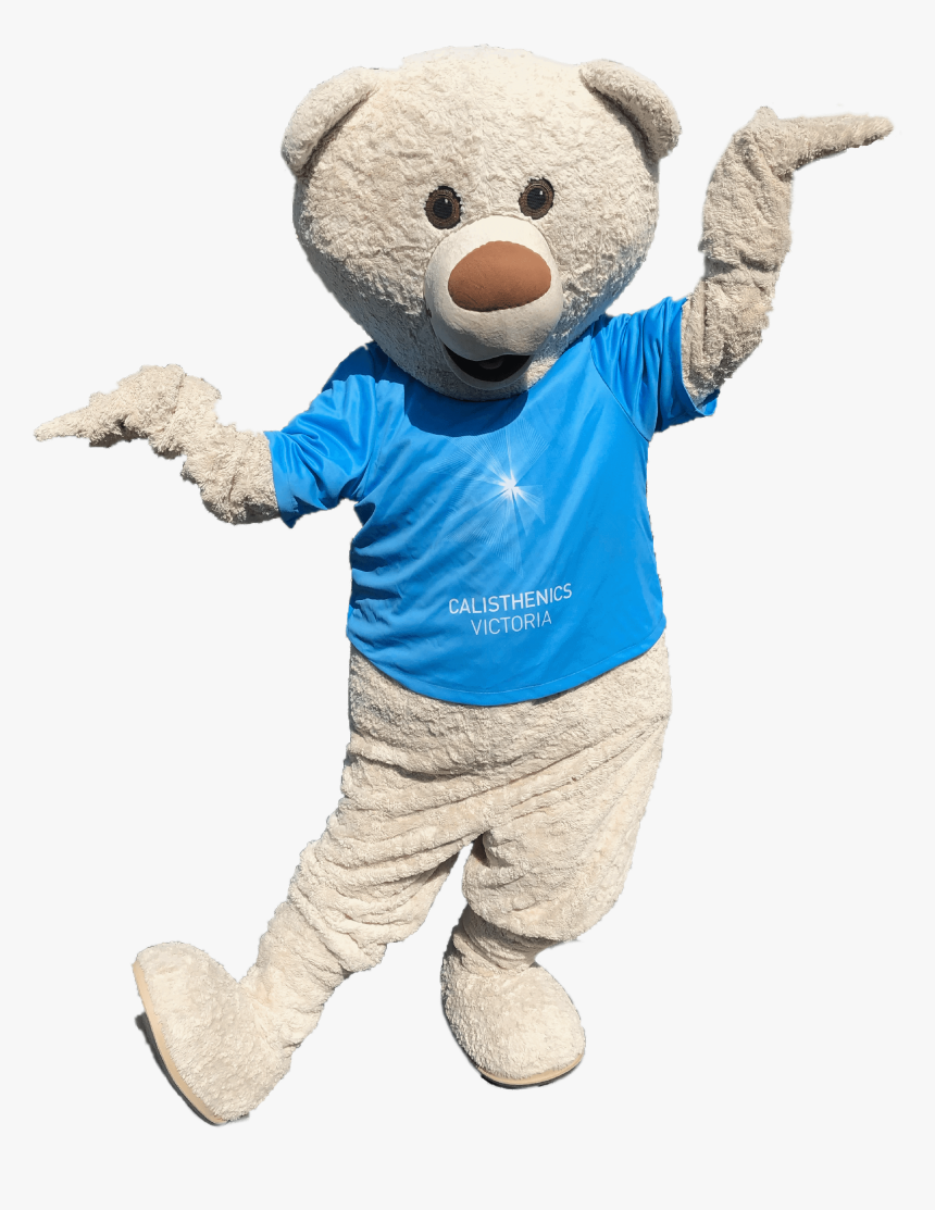 Transparent Christmas Bear Png - Teddy Bear, Png Download, Free Download