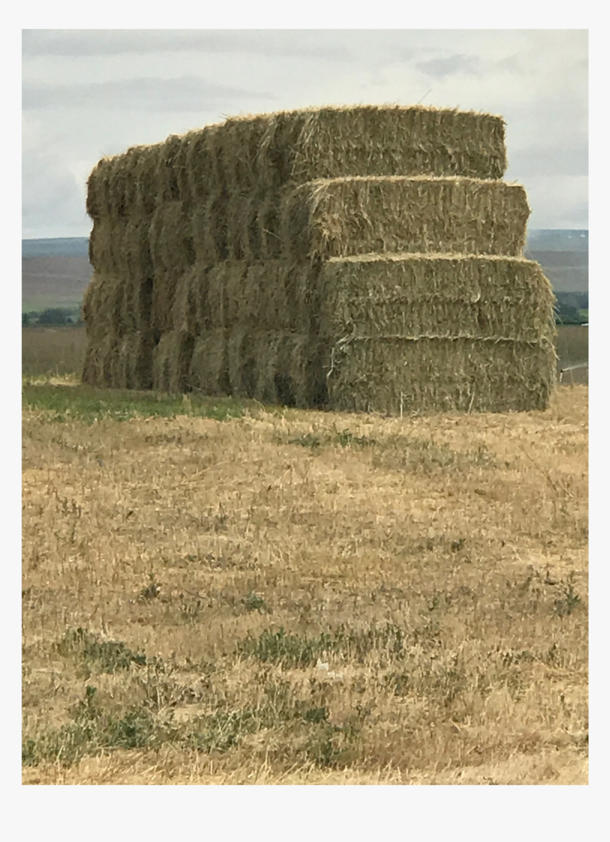 Hay, HD Png Download, Free Download