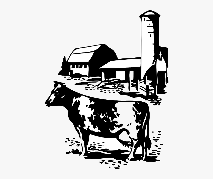 Cow And Farm Clip Art, HD Png Download, Free Download