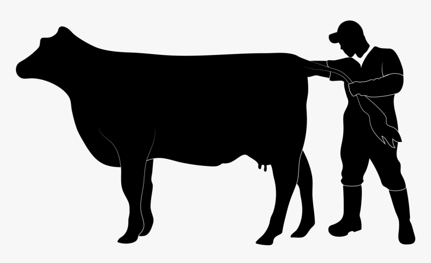 Cody Creelman Cow Vet, HD Png Download, Free Download