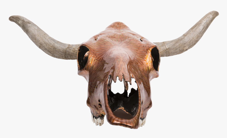 Horn, HD Png Download, Free Download