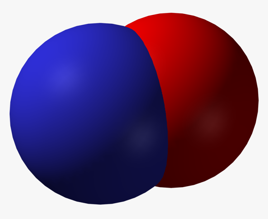 Researchers Uncover Fresh Role For Nitric Oxide - Nitrogen Oxide Png, Transparent Png, Free Download