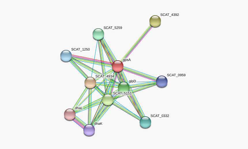 Gpsa Protein - Circle, HD Png Download, Free Download