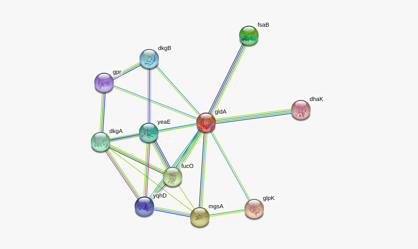 Glda Protein - Circle, HD Png Download, Free Download