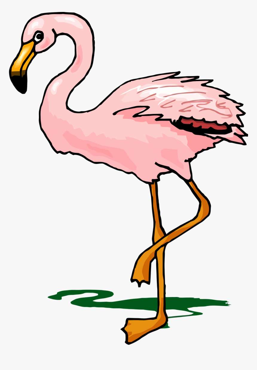 Flamingo Sombra, HD Png Download, Free Download