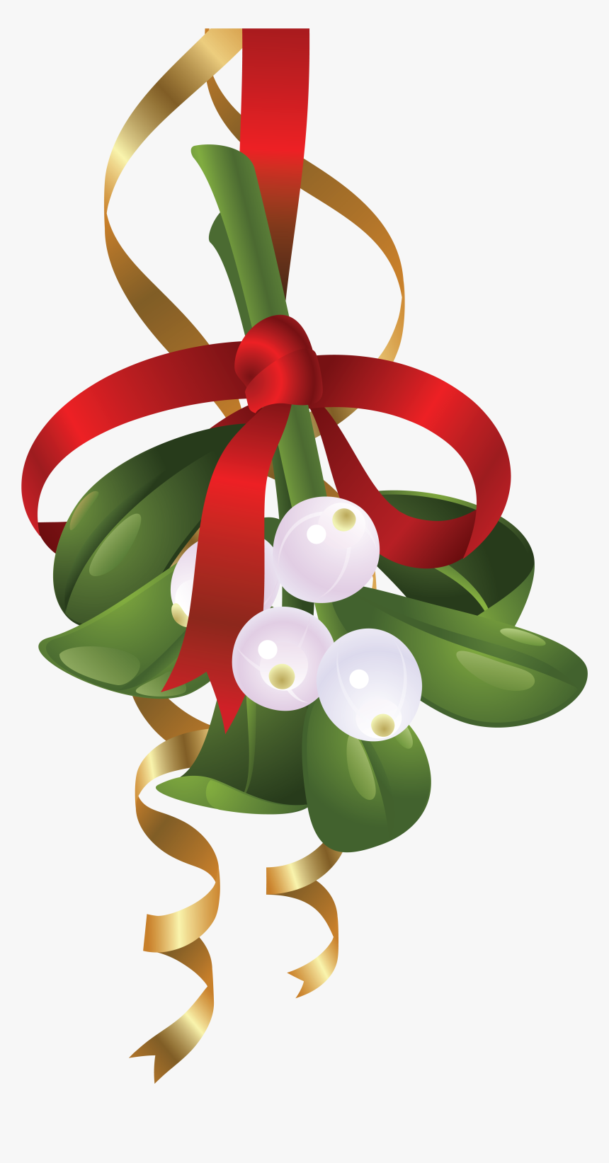 Mistletoe Portable Network Graphics Clip Art Illustration - Mistletoe Clipart, HD Png Download, Free Download