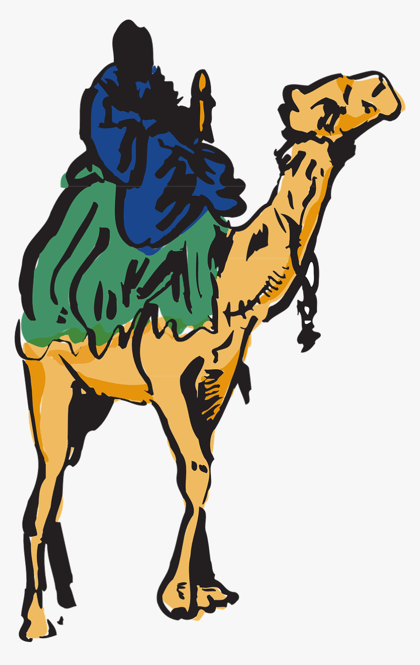 Camel Man Riding Free Photo - Cama Camel Transparent, HD Png Download, Free Download