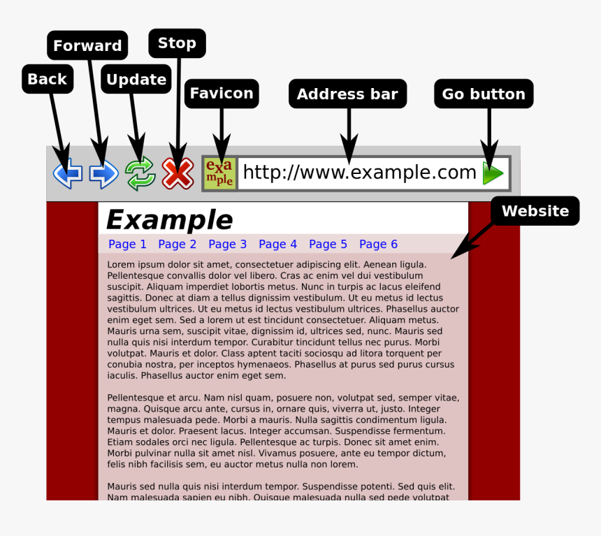 Example Of The Web Browser, HD Png Download, Free Download