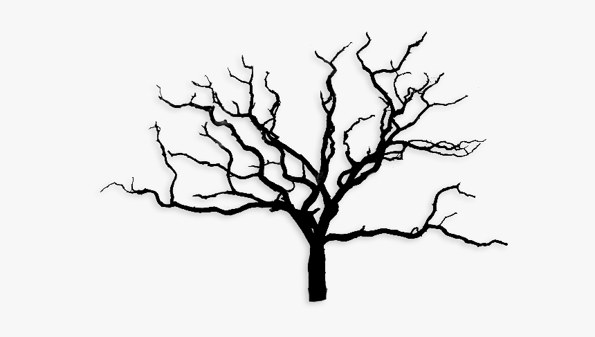 Arbre Sans Feuille Png, Transparent Png, Free Download