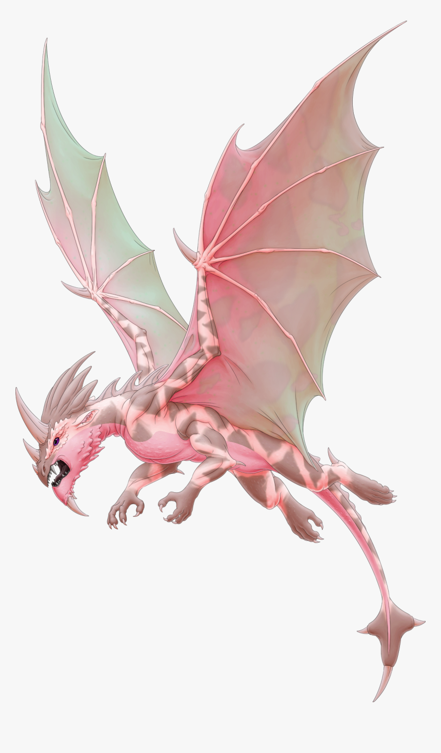 Dragon, HD Png Download, Free Download