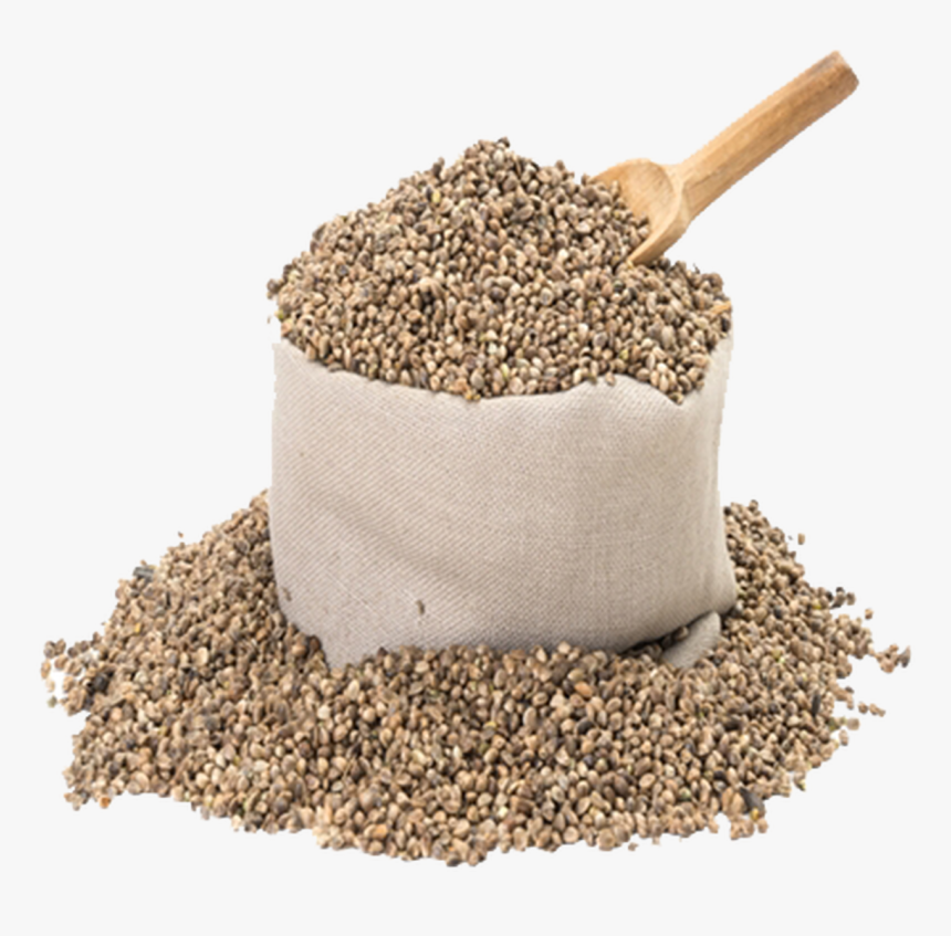 Viable Raw Living Hemp Seed Grain - Industrial Hemp, HD Png Download, Free Download