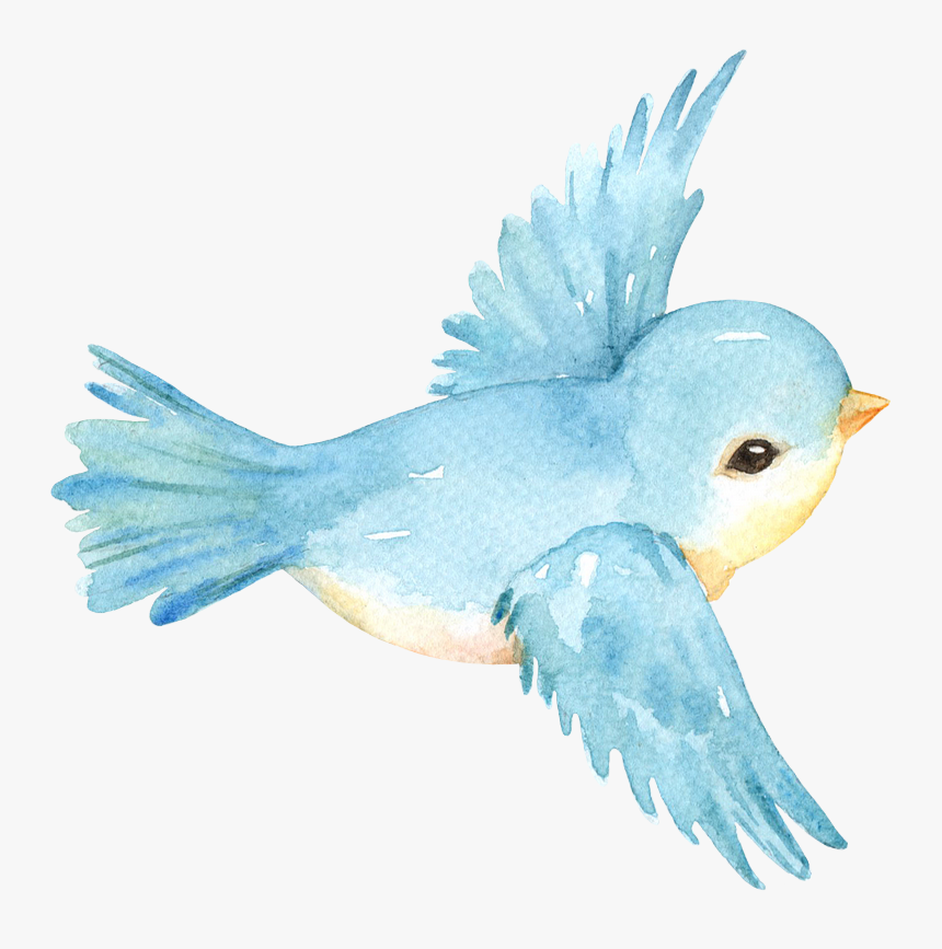 Transparent Blue Birds Png - Bird Png Watercolor, Png Download - kindpng