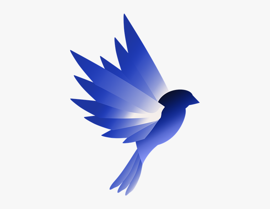 Logo, Bird, Blue, Design, Wing, Animal - Swallow, HD Png Download, Free Download