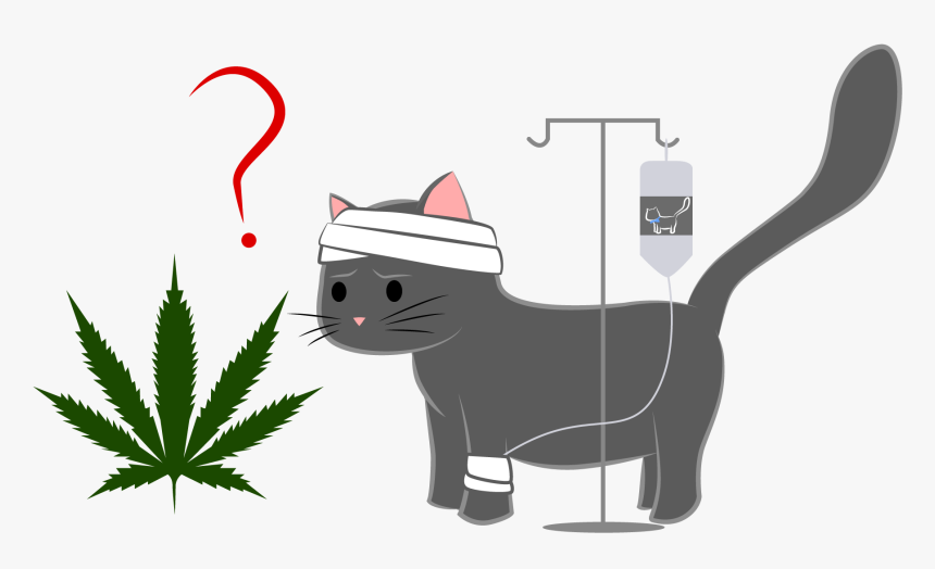 Can Medical Marijuana Help Your Cat Cope With Cancer - Cat With Cancer Cartoon, HD Png Download, Free Download